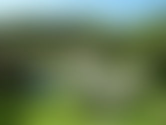 Comment entretenir son jardin à Saint-Raphaël Fréjus ?