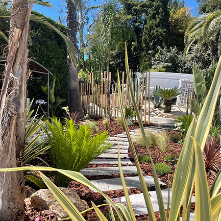 création de jardin saint-raphael 83700.jpeg