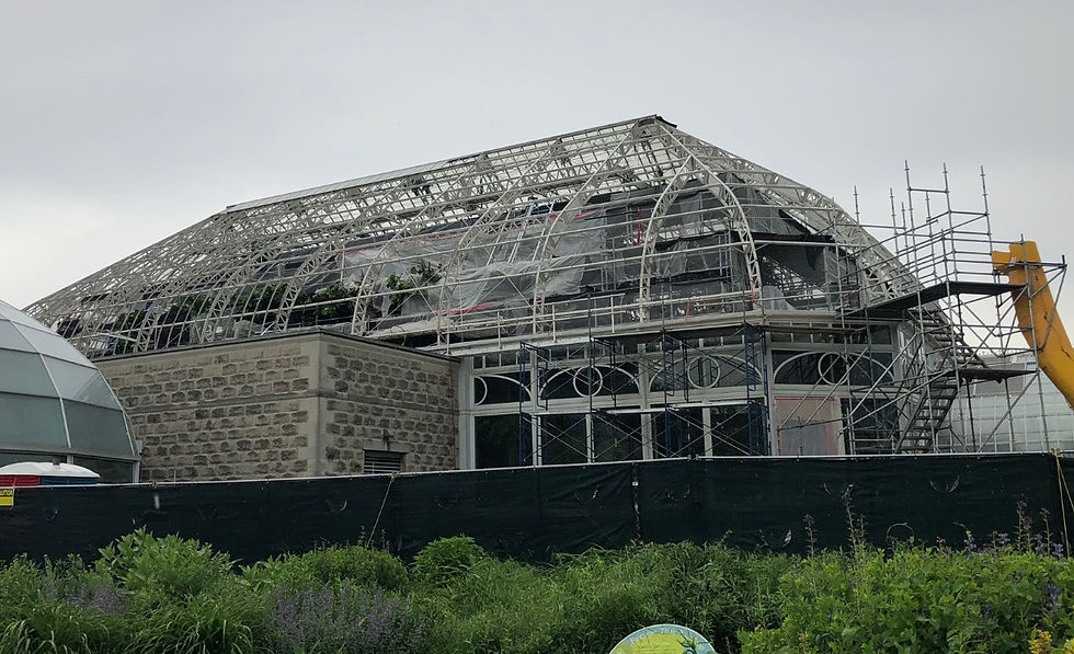 Phipps Palm Court During