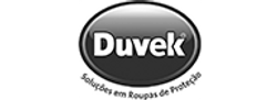 Duvek