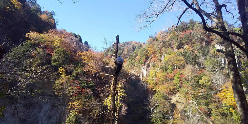 ダウンロード - 2026-01-14T000048.750.jpeg