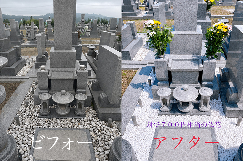 ビフォアフ.png