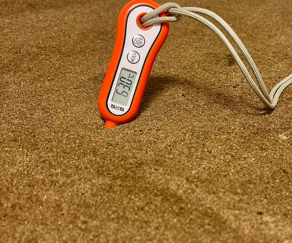 ダウンロード (24).jpeg