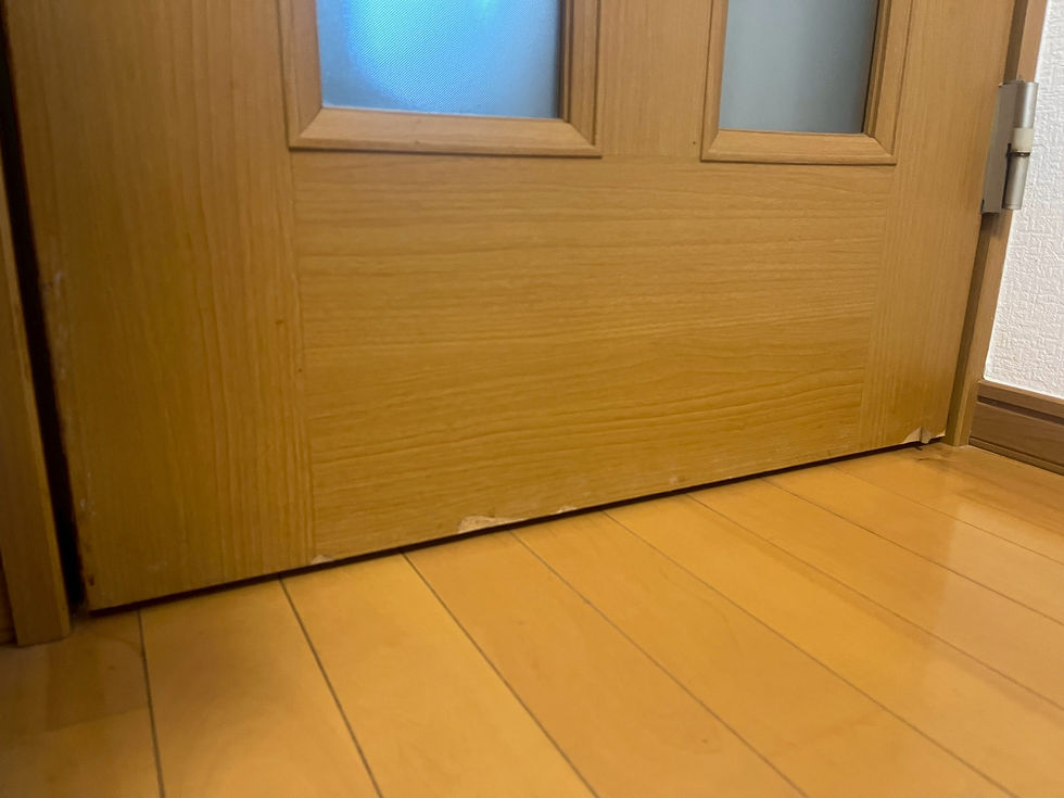ダウンロード (71).jpeg