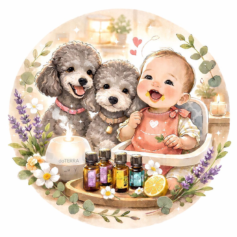 ダウンロード (29).jpeg