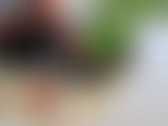 ホリライスってどんなお米農家?