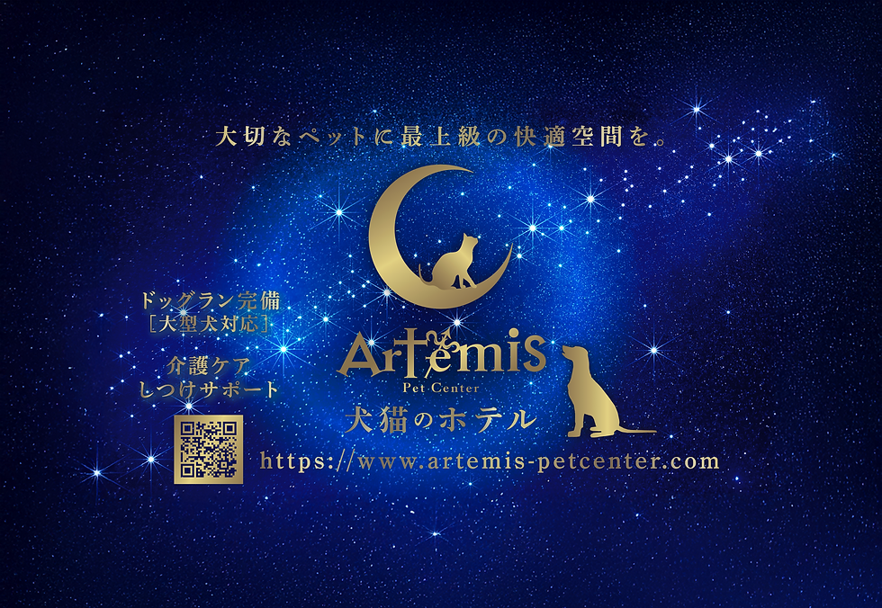 スクリーンショット 2025-06-12 17.11.18.png