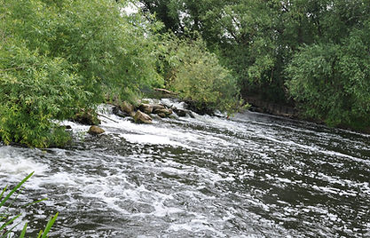 Leamington Angling Association Weir