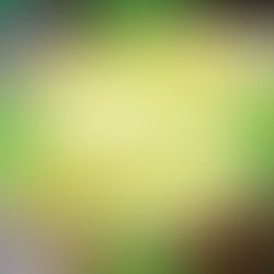 大内農園さんのインゲンのアイスクリーム