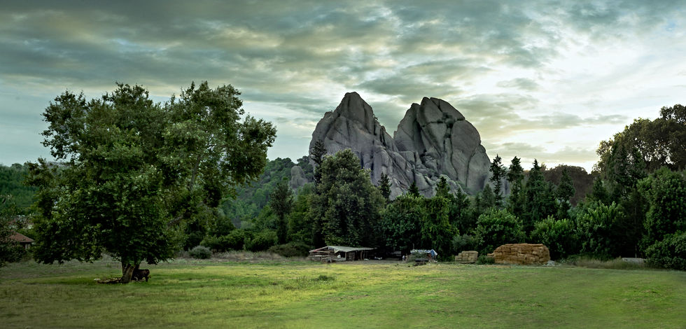 _DSC2272-Edit.jpg