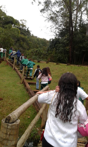 Projeto Germinar
