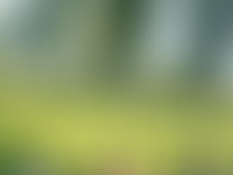 Creating Safe Spaces: The Importance of Safe Containers in Transformative Retreats