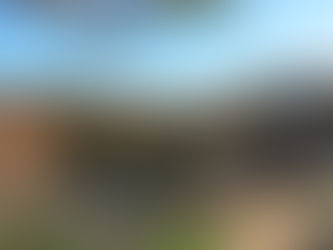 12月14日(火)臨時休業のお知らせ