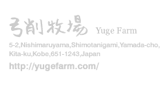 address