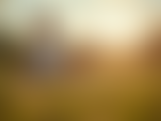 Empower Youth Through Yoga and Wellness Education