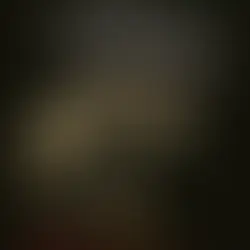 Knyga „Kraujo ryšiai “