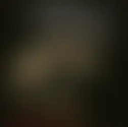 Knyga „Kraujo ryšiai “