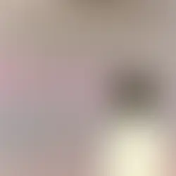 Knyga „Tolumoje blyškios kalvos“