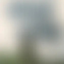 Nebaigti reikalai