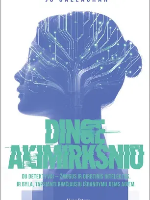 Knyga „Dingę akimirksniu“