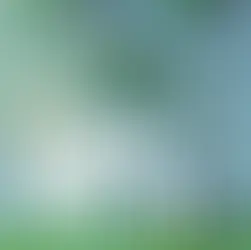 Knyga „Tu kažką turi“