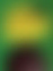 Knyga „Laimės ieškotojai“