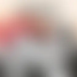 Knyga „Karalius nakvos Merkinėje“