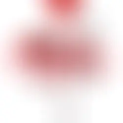 Knyga „Koplyčia“