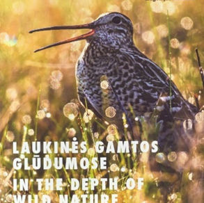 Laukinės gamtos glūdumose