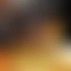 Knyga „Ištikimybė“