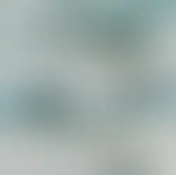 Knyga „Liusė prie jūros“