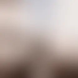 Knyga „Namai ir likimai“