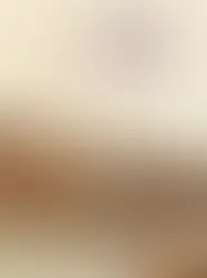 Knyga „Tobulo sakinio mirtis“