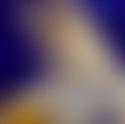 Knyga „Nomadės šokis“