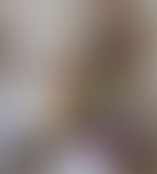 2011 m. laureatė Irena Stoškienė