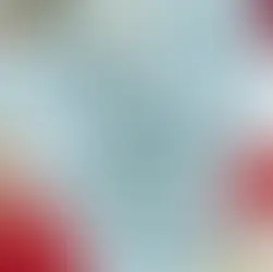 Knyga „Visos mano motinos“