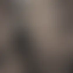 Knyga „Verkianti bronza“