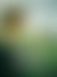 Knyga „Austrių įlankos paslaptis“