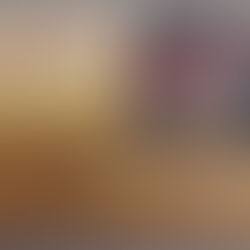 Ugniagesybos istorija abipus sienos