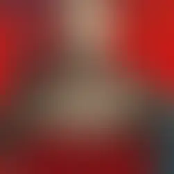 Knyga „Pagauti Palucką “