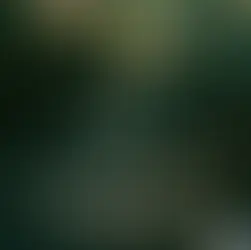 Knyga „Už paslapčių sienos“