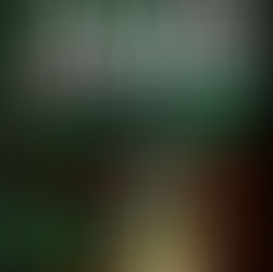 Knyga „Mirtina grėsmė“