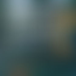 Knyga „Anapus mirties“