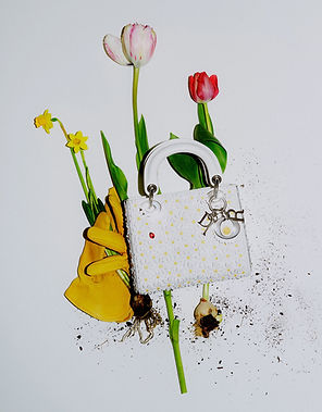 260120_V_Spring_DIOR_V1_CROP.jpg