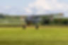 Max-Holste MH-1521 Broussard-26052024-1J0A9558.jpg