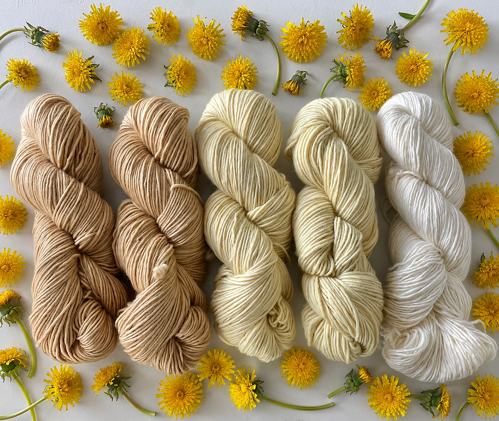 Dandelion and black tea dye results