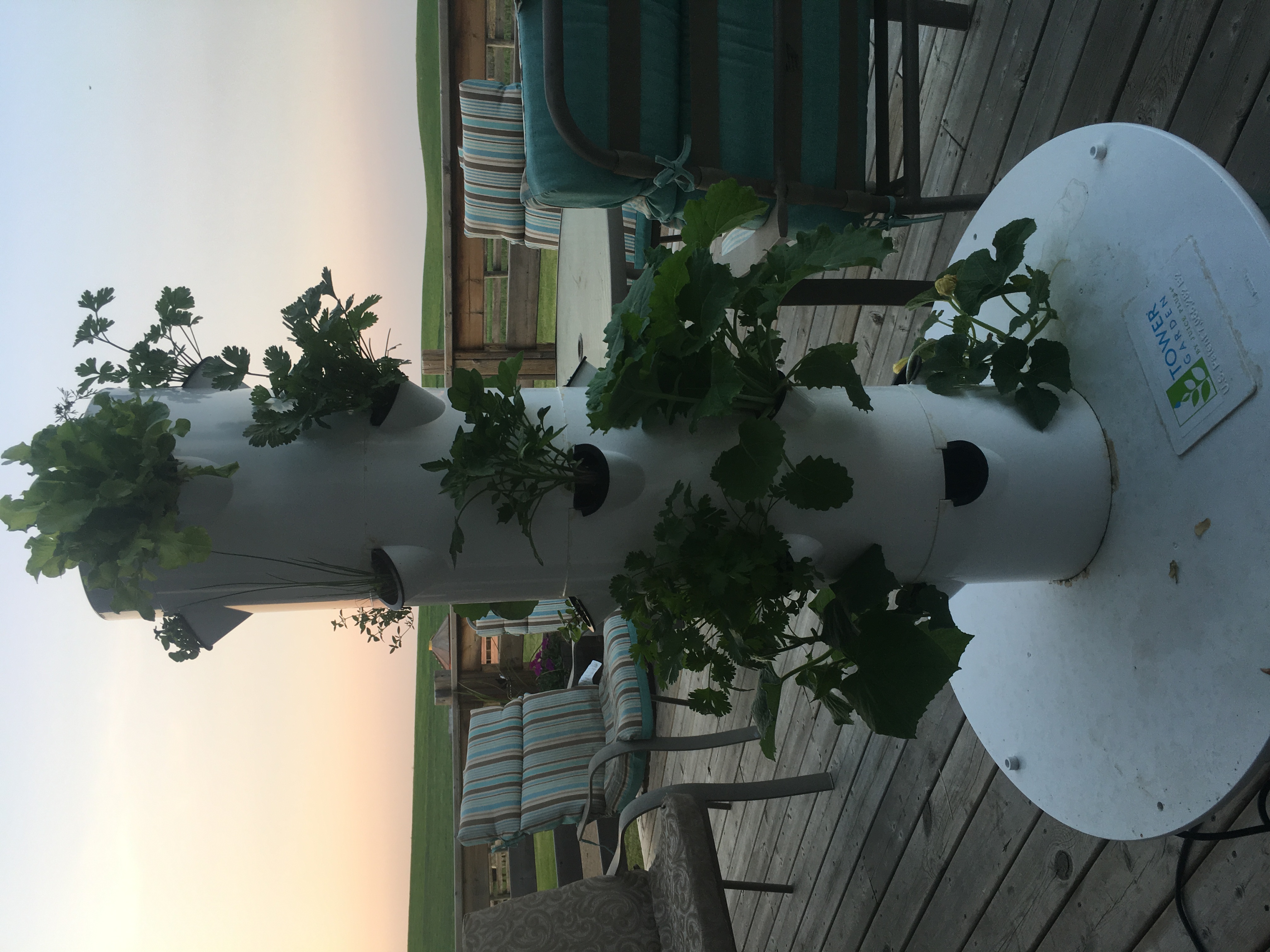 Want to grow your own food?