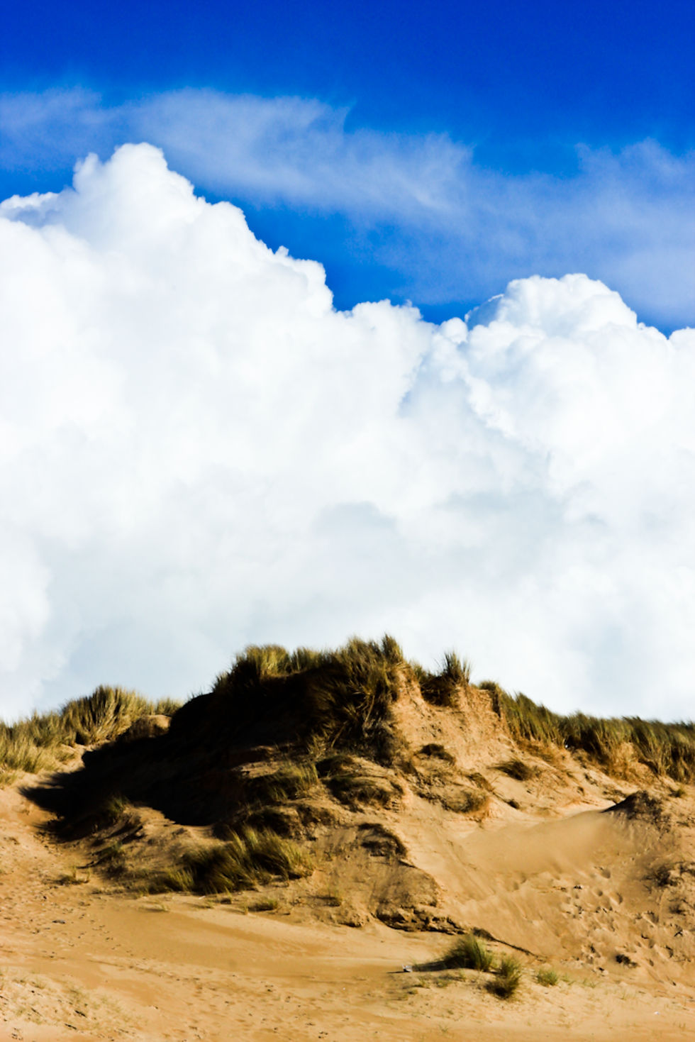 Dunes de Bivilles, Cotentin