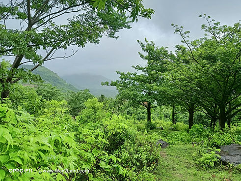 Mekkarai 3.5 Acre.jpeg