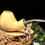 Thumbnail: Pipe Chubby Brandy Olivier et Palmier noir